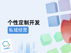 个性定制开发